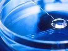 胎停育真的是优胜劣汰的结果吗？导致胎停育的原因有哪些？该如何应对胎停育？