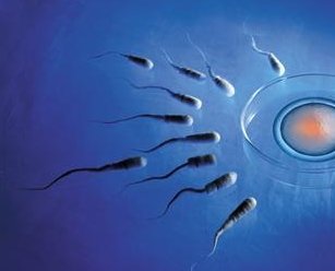 吉林省四平三代试管费用总共多少？备孕家庭必看！