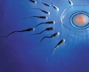 孕前检查要注意些什么？女性在孕前要做哪些检查？