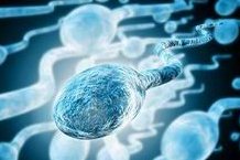 详细解读和龙市做长方案试管婴儿费用，长方案和短方案成功率有差别吗？