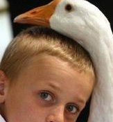 好处！泰国nic医院做三代试管婴儿优点有哪些？