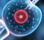 盘点鲜胚移植失败的主要原因，移植前要仔细检查！