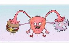 汕头地区有哪些私立的机构可以做试管技术？孕期检查时间及项目