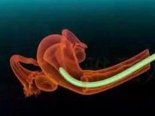 揭阳排名前三私立试管婴儿医院造娃价格明细简介