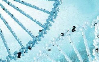 湘乡市试管婴儿流程是怎样的（湘乡市试管婴儿医院哪家好）