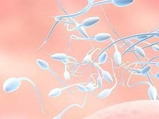 郑州第三代试管婴儿多少钱？郑州试管婴儿医院排名？